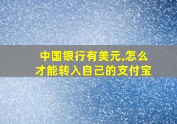 中国银行有美元,怎么才能转入自己的支付宝