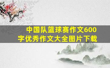 中国队篮球赛作文600字优秀作文大全图片下载