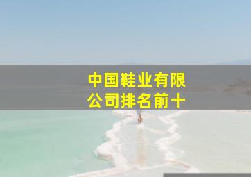 中国鞋业有限公司排名前十