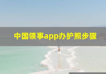 中国领事app办护照步骤