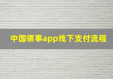 中国领事app线下支付流程