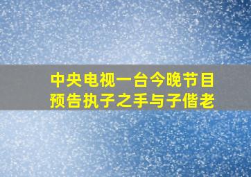 中央电视一台今晚节目预告执子之手与子偕老