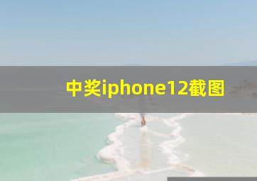 中奖iphone12截图