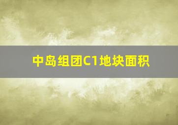 中岛组团C1地块面积