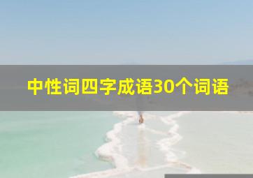 中性词四字成语30个词语