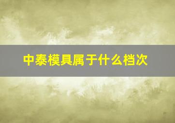 中泰模具属于什么档次