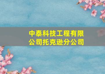 中泰科技工程有限公司托克逊分公司