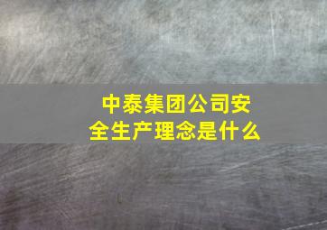 中泰集团公司安全生产理念是什么