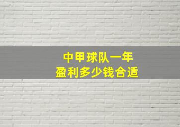 中甲球队一年盈利多少钱合适