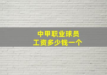 中甲职业球员工资多少钱一个