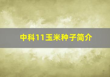 中科11玉米种子简介