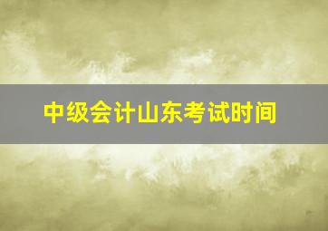 中级会计山东考试时间