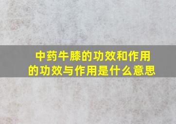 中药牛膝的功效和作用的功效与作用是什么意思