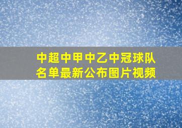 中超中甲中乙中冠球队名单最新公布图片视频