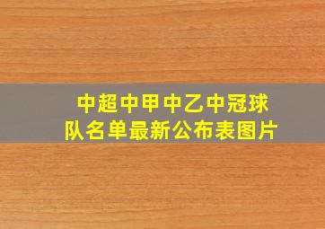 中超中甲中乙中冠球队名单最新公布表图片