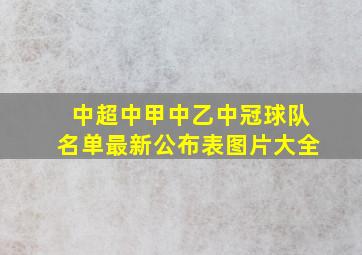 中超中甲中乙中冠球队名单最新公布表图片大全