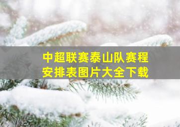 中超联赛泰山队赛程安排表图片大全下载