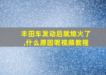 丰田车发动后就熄火了,什么原因呢视频教程