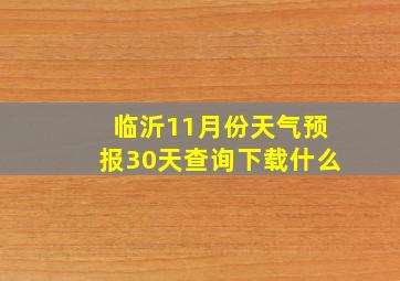 临沂11月份天气预报30天查询下载什么