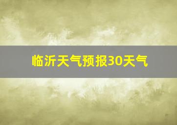 临沂天气预报30天气