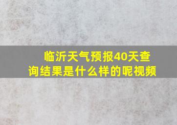 临沂天气预报40天查询结果是什么样的呢视频