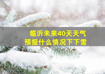 临沂未来40天天气预报什么情况下下雪