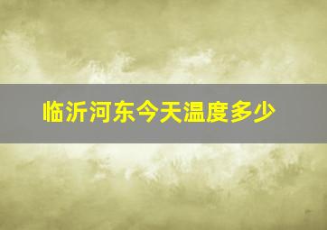 临沂河东今天温度多少