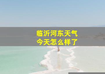 临沂河东天气今天怎么样了