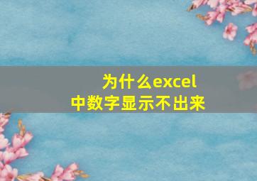 为什么excel中数字显示不出来