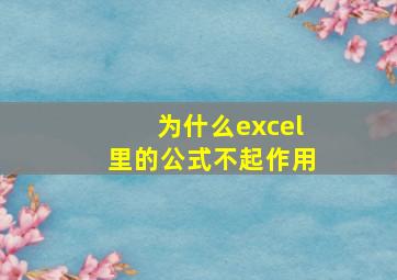 为什么excel里的公式不起作用