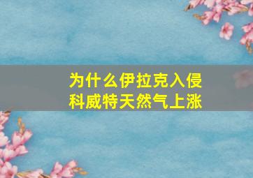 为什么伊拉克入侵科威特天然气上涨