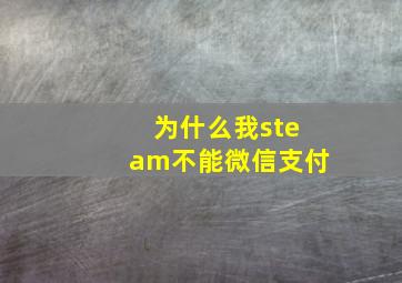 为什么我steam不能微信支付