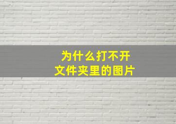 为什么打不开文件夹里的图片