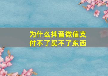 为什么抖音微信支付不了买不了东西