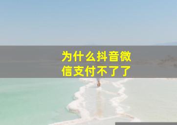 为什么抖音微信支付不了了