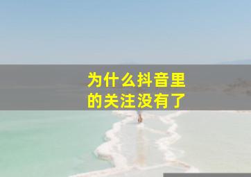 为什么抖音里的关注没有了