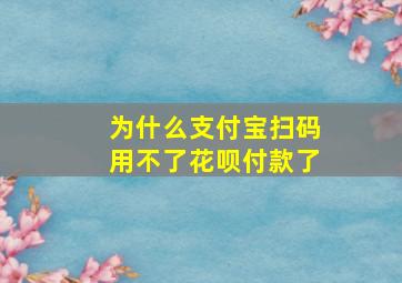 为什么支付宝扫码用不了花呗付款了