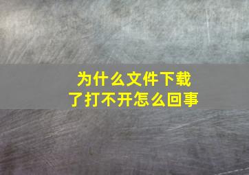 为什么文件下载了打不开怎么回事