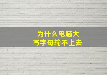 为什么电脑大写字母输不上去