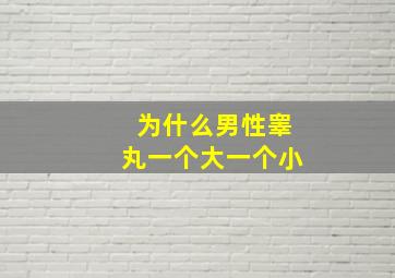 为什么男性睾丸一个大一个小