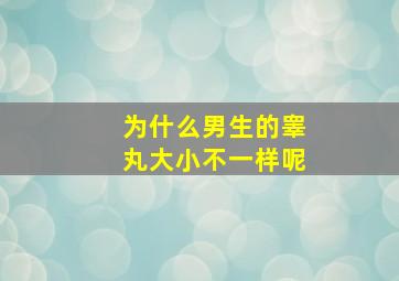 为什么男生的睾丸大小不一样呢