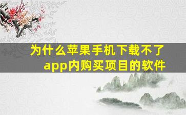 为什么苹果手机下载不了app内购买项目的软件