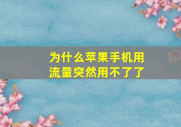 为什么苹果手机用流量突然用不了了