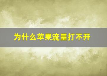 为什么苹果流量打不开