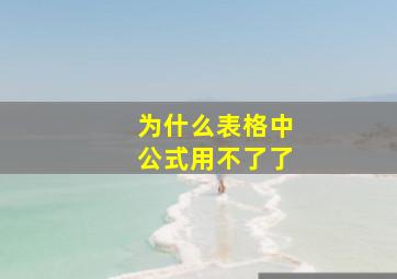 为什么表格中公式用不了了