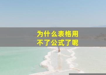 为什么表格用不了公式了呢