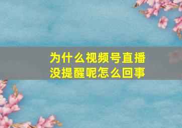 为什么视频号直播没提醒呢怎么回事