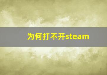 为何打不开steam