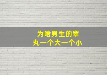 为啥男生的睾丸一个大一个小