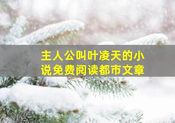 主人公叫叶凌天的小说免费阅读都市文章